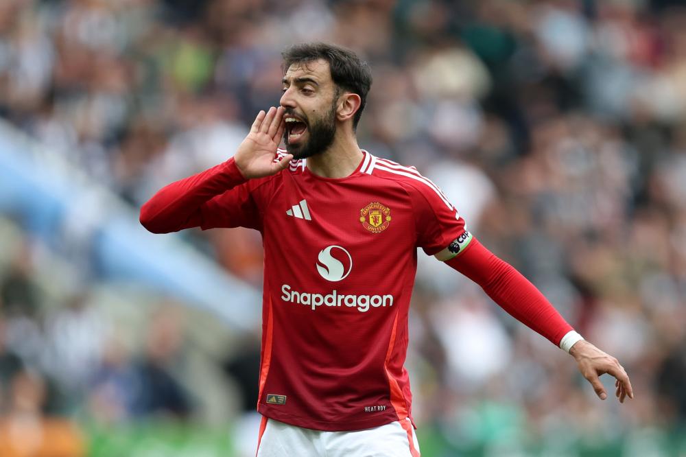 的是团队的 的是团队的